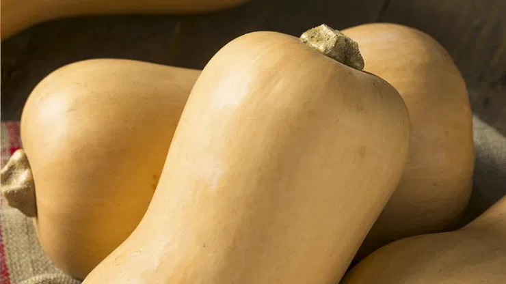 Can You Eat Butternut Squash Raw?