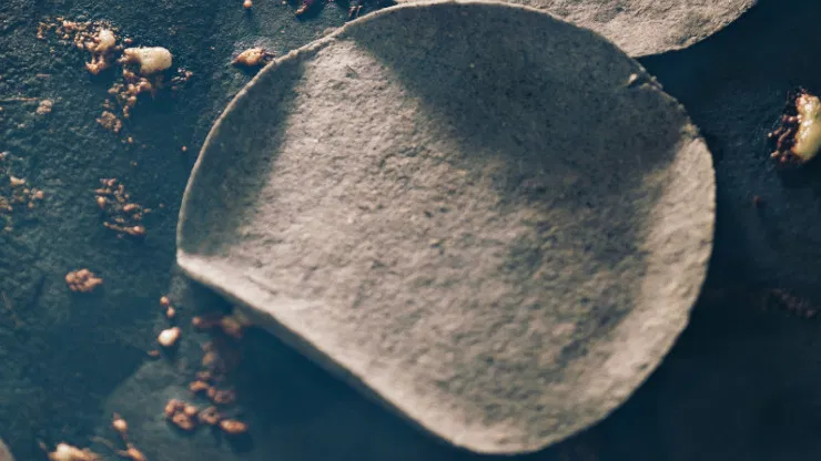 Can You Freeze Tortillas?