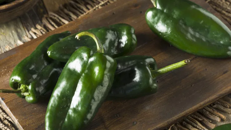 Poblano Pepper Calories And Nutrition Value
