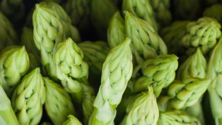 What Does Asparagus Taste Like?
