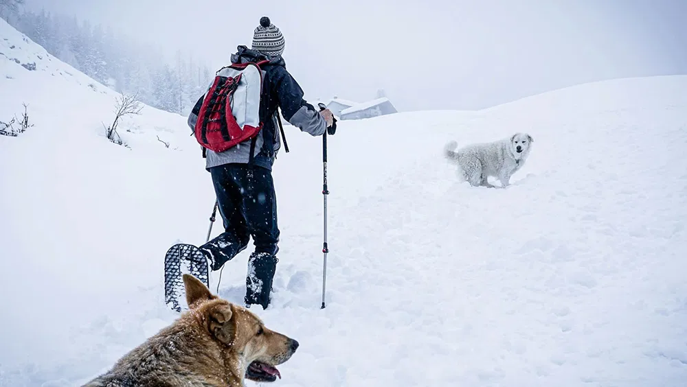 How Long Does It Take to Walk 3 Miles?
