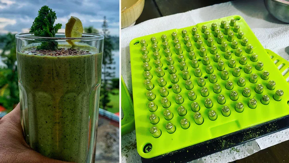 The New Kale? Moringa Powder Is Here to Stay