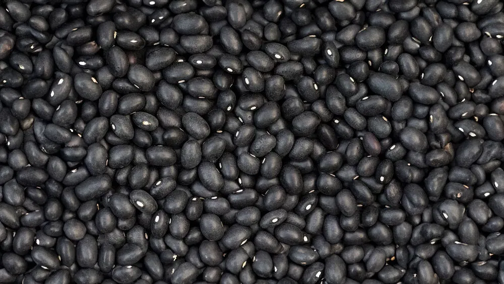Health Benefits Of Black Beans