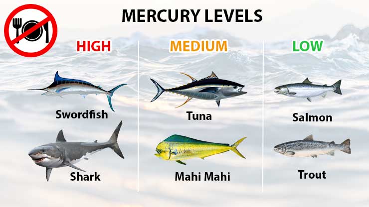 fishmercury
