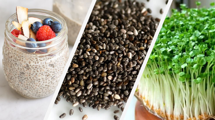 Chia Seeds: a Low-Calorie Option with Ancient Roots