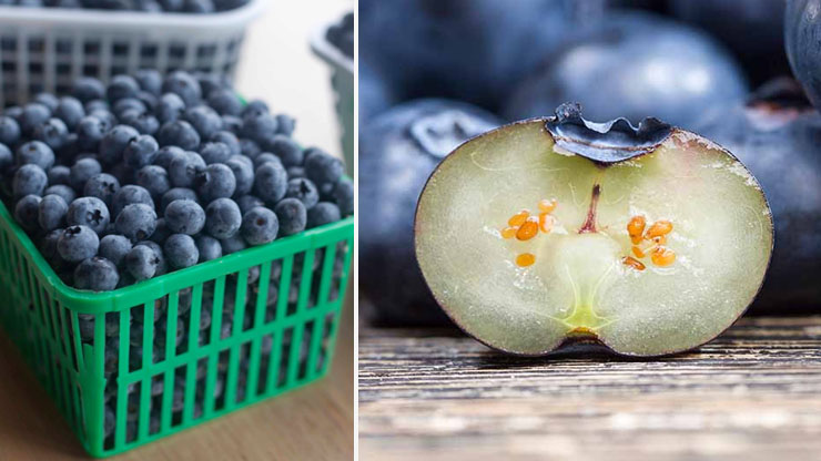Do Blueberries Have Seeds?