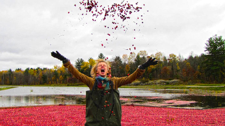 Cranberry Juice Can Cause Excessive Amounts of Poop