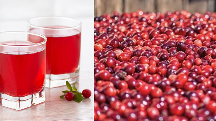 Does Cranberry Juice Make You Poop?