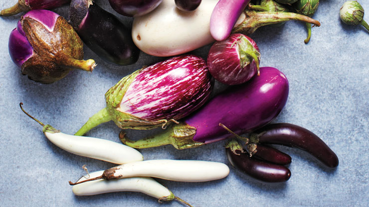 What Does Raw Eggplant Taste Like