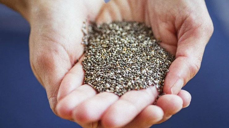 Why Can Chia Seeds Last for So Long