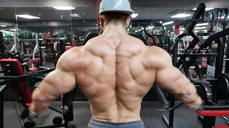Back Workout