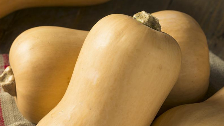 Can You Eat Butternut Squash Raw?