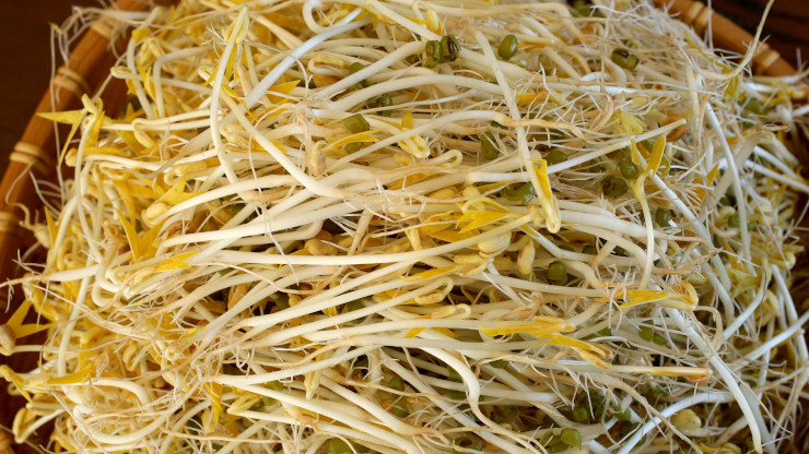 Can You Freeze Raw Bean Sprouts?