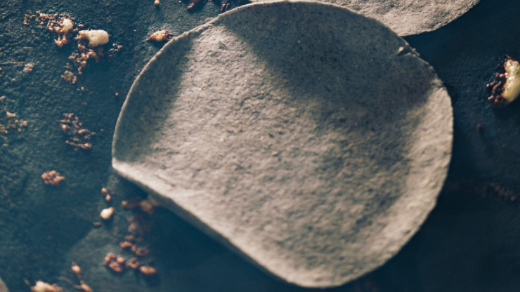 Can You Freeze Tortillas?