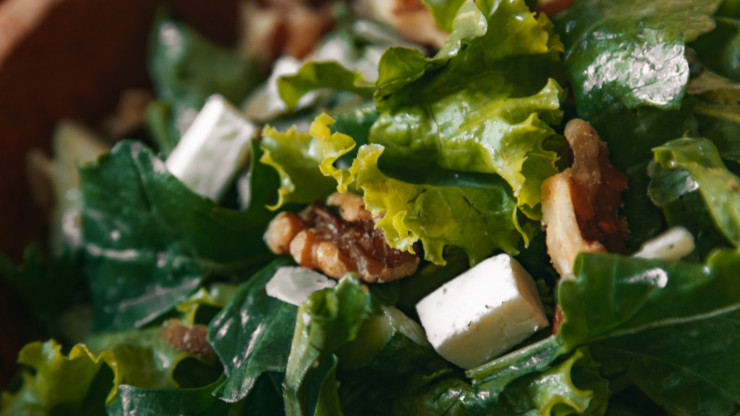 Does Salad Make You Poop?