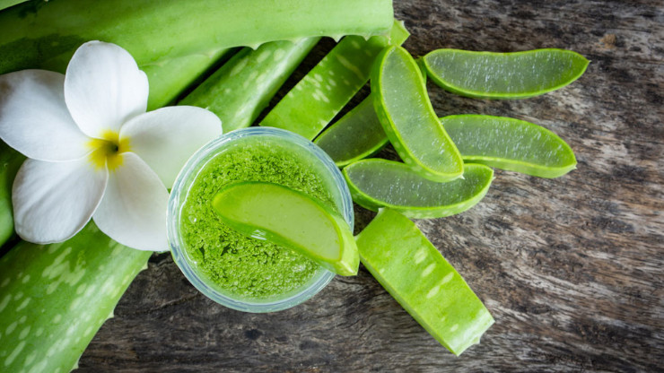 What Does Aloe Vera Taste Like?