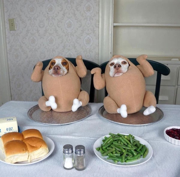 Gobble Til You Wobble 7