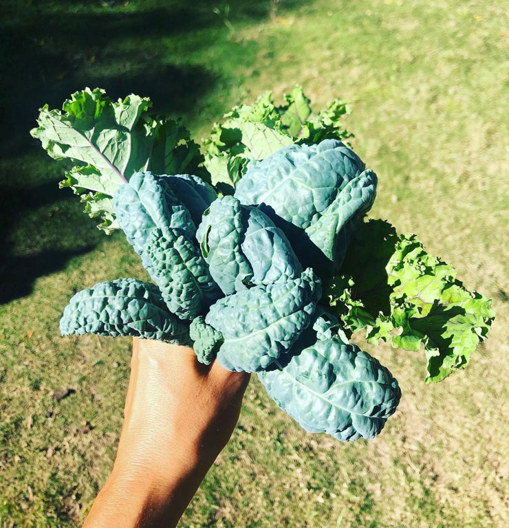 Anti Inflammatory Diets 101 1