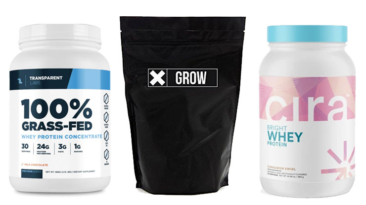 Best Protein Powders on the Market, November 2021