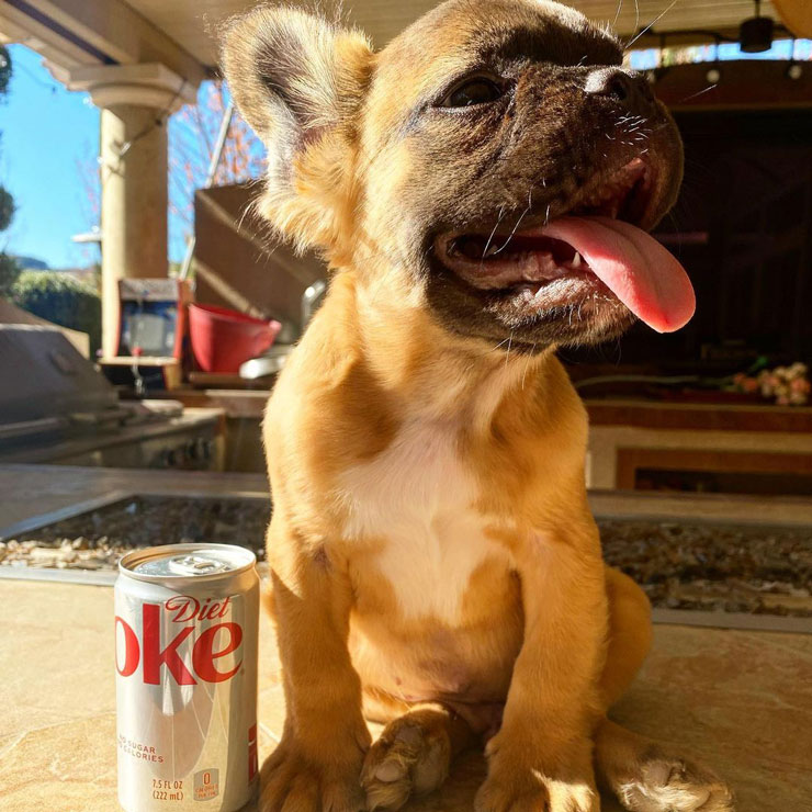 Keto Friendly Beverages 4