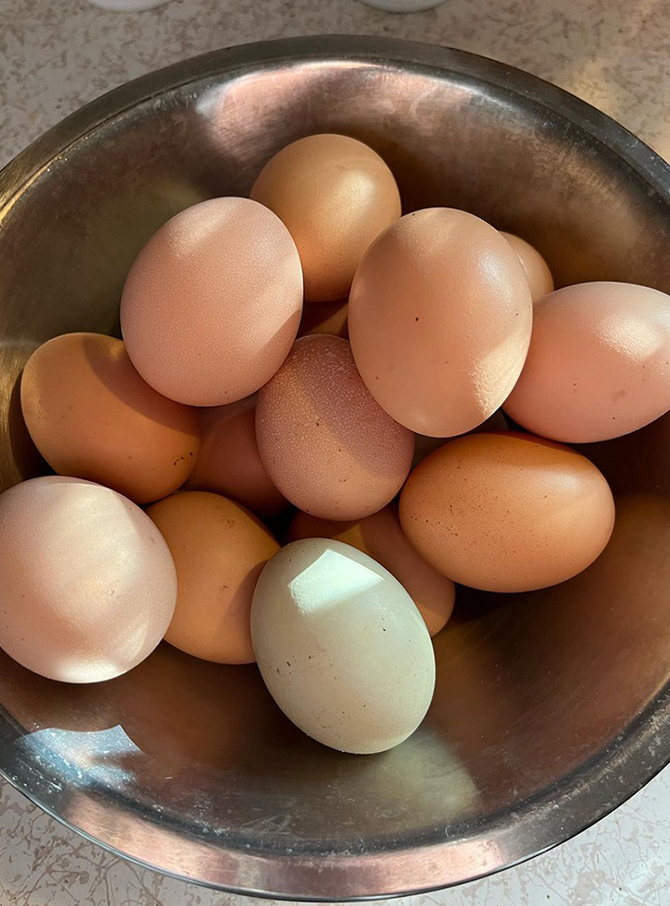 Refuel and Recover With These 6 Post Workout Foods 2