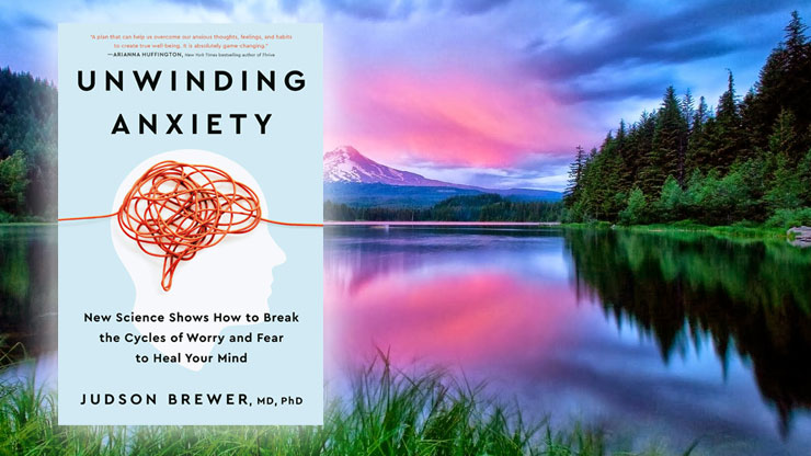 Unwinding Anxiety by Judson Brewer