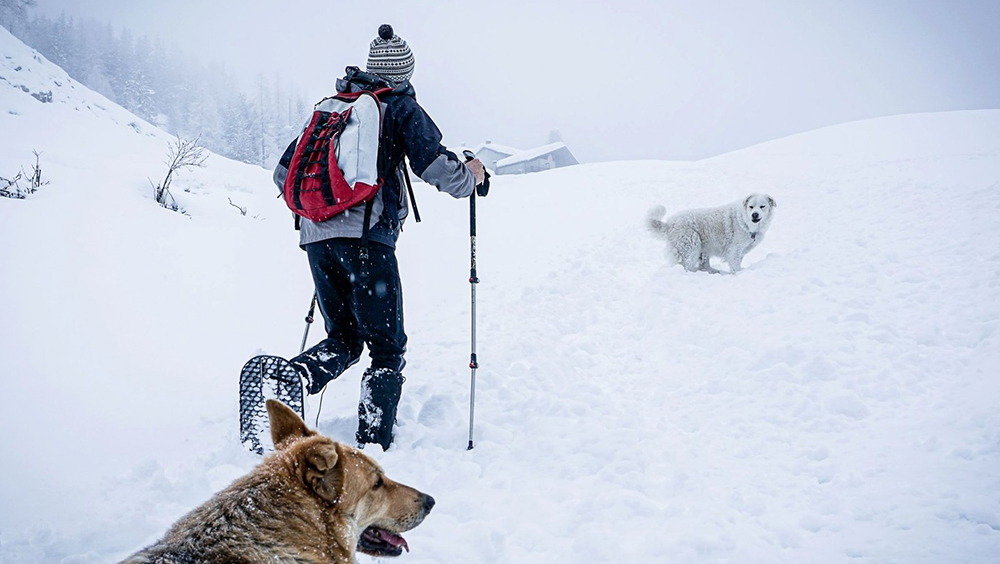 How Long Does It Take to Walk 3 Miles?