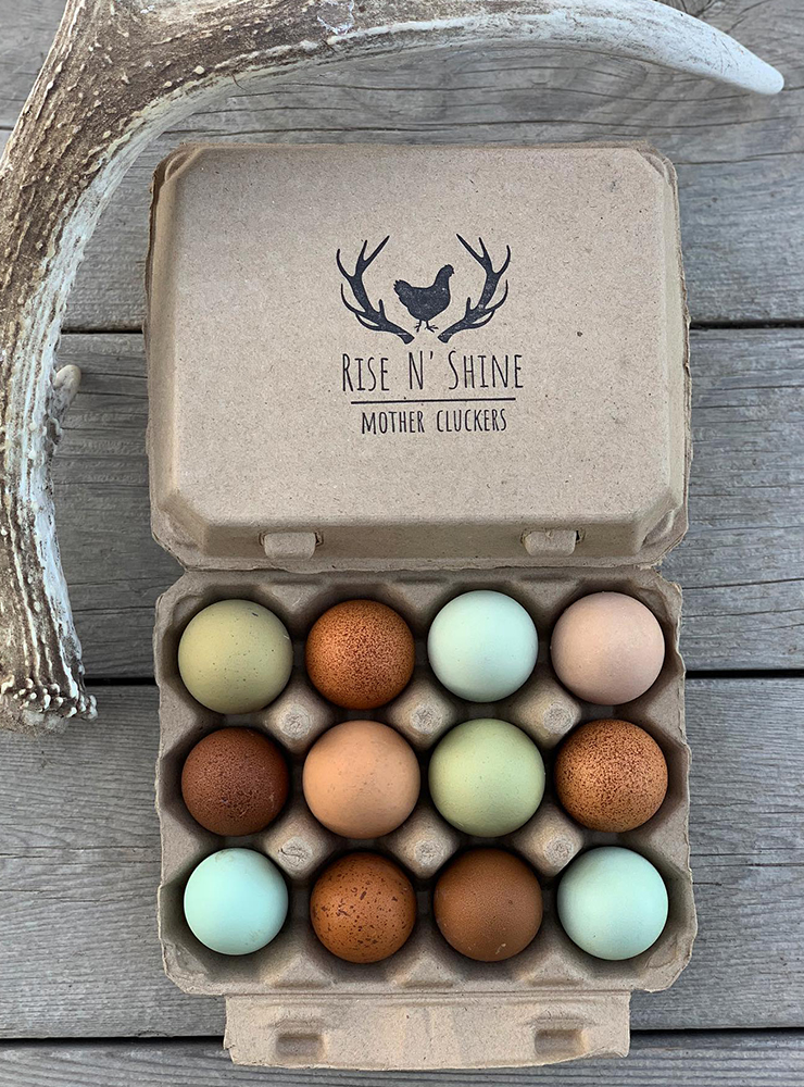 Can You Safely Eat Expired Eggs 4