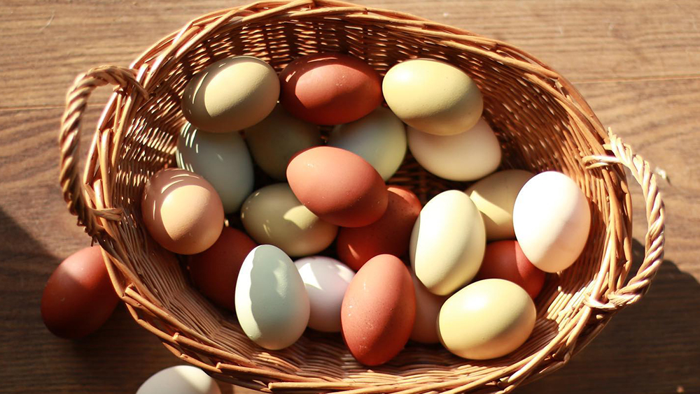 Can You Safely Eat Expired Eggs 5