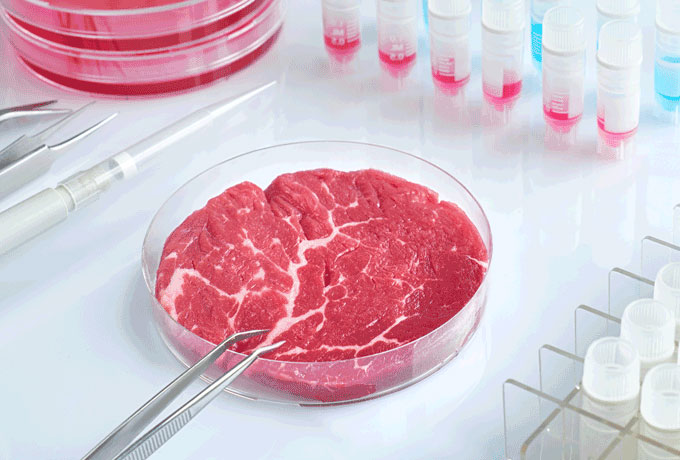 What Is Cultivated Meat