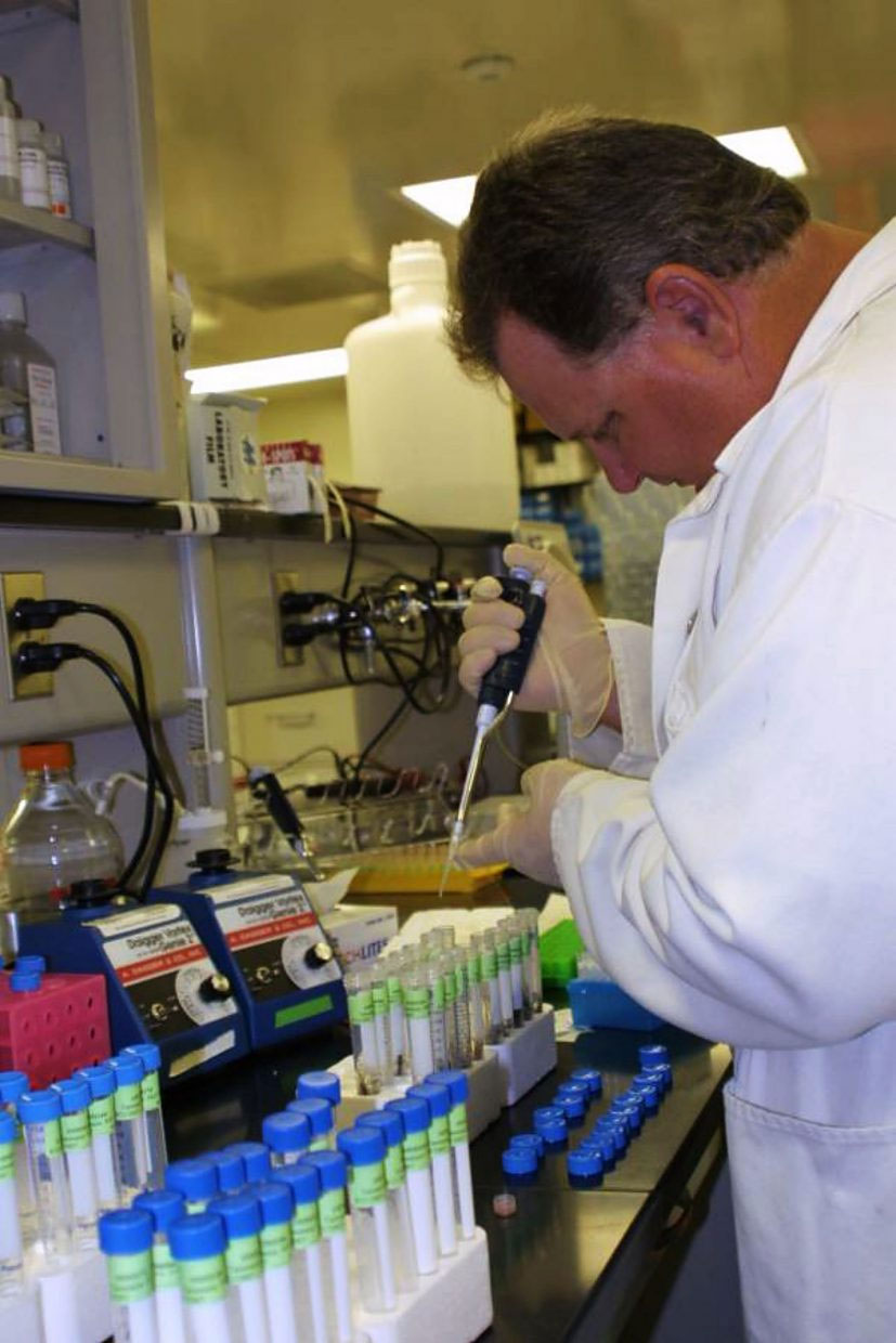 Why Researchers Are Growing Meat in Labs