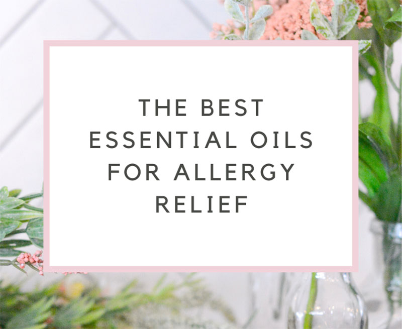 Best Essential Oils for Allergies