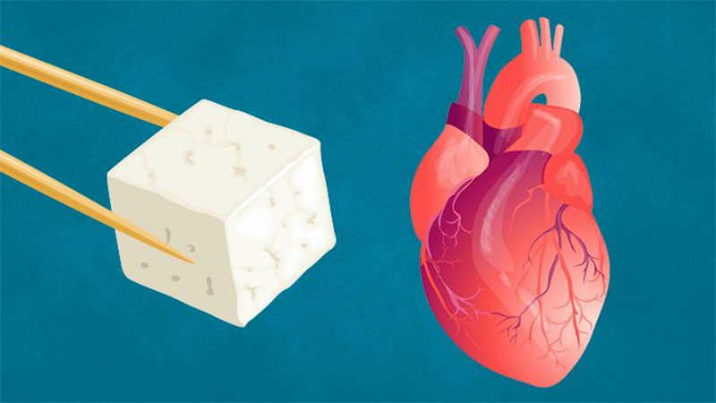 Keeping the Heart Healthy