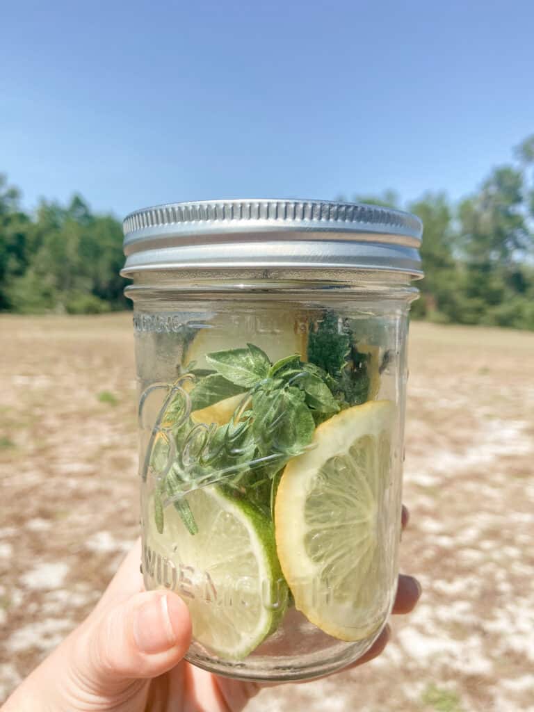 Fragrant Mint Potpourri