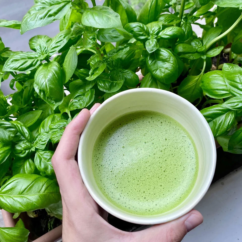 Green and Black Tea