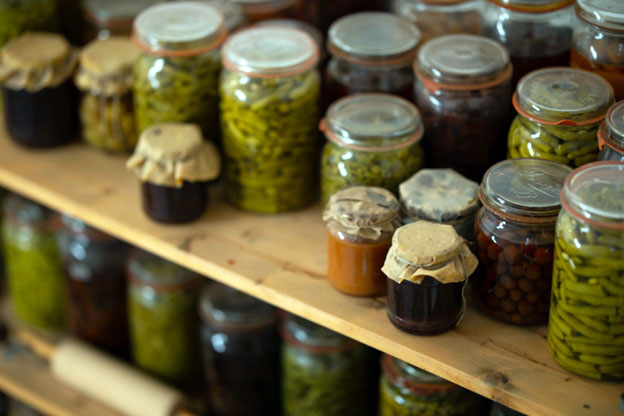 Rich Source of Probiotics