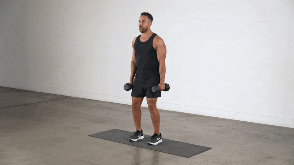 Shoulder Shrugs
