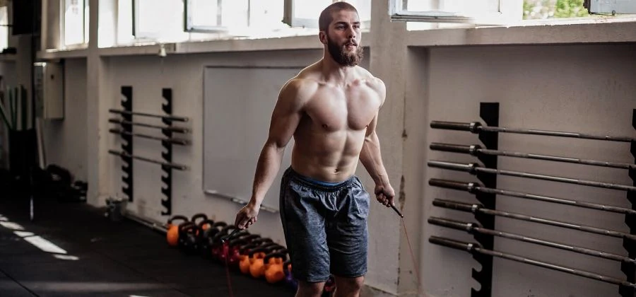 muscle