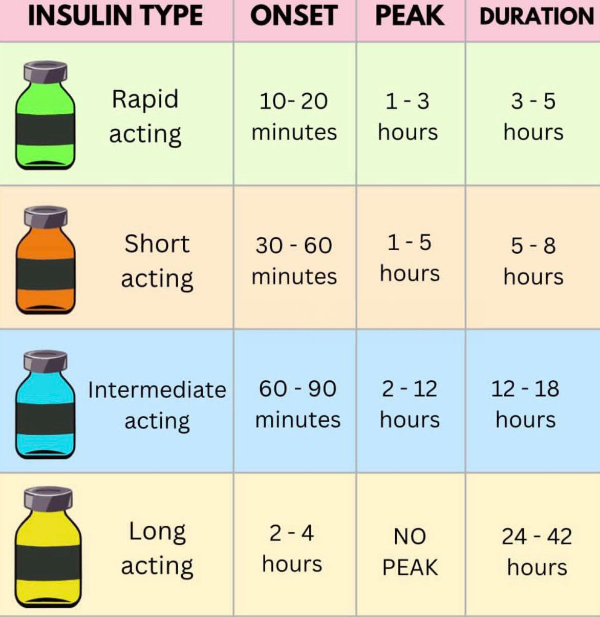 does insulin make you gain weight  _ad407d62 1ed8 4b58 bde3 cabe3452d6fd
