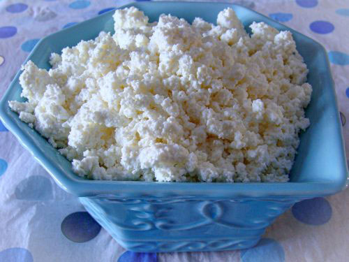 is cottage cheese good for you_83a01213 54ce 44d3 b5cf 7713006444c5