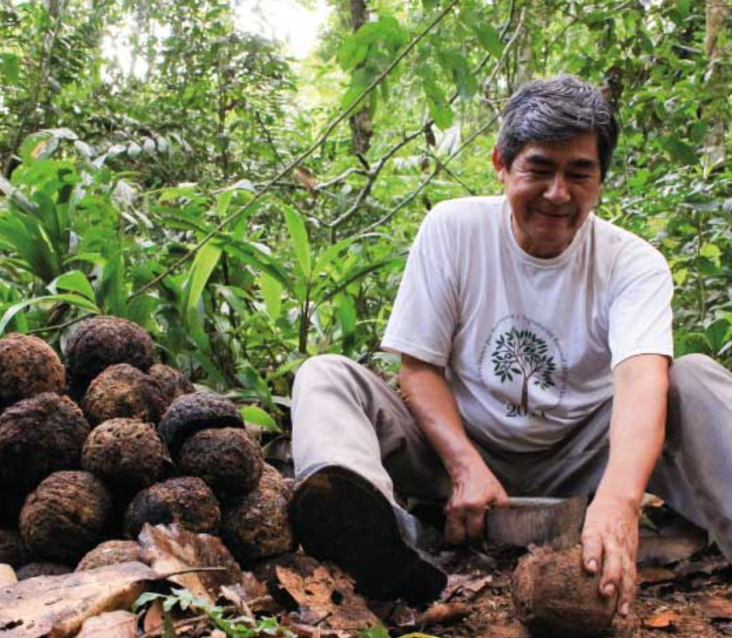 health benefits of brazil nuts_5f9e59d0 ea11 4129 a00f 3570a0ab175b