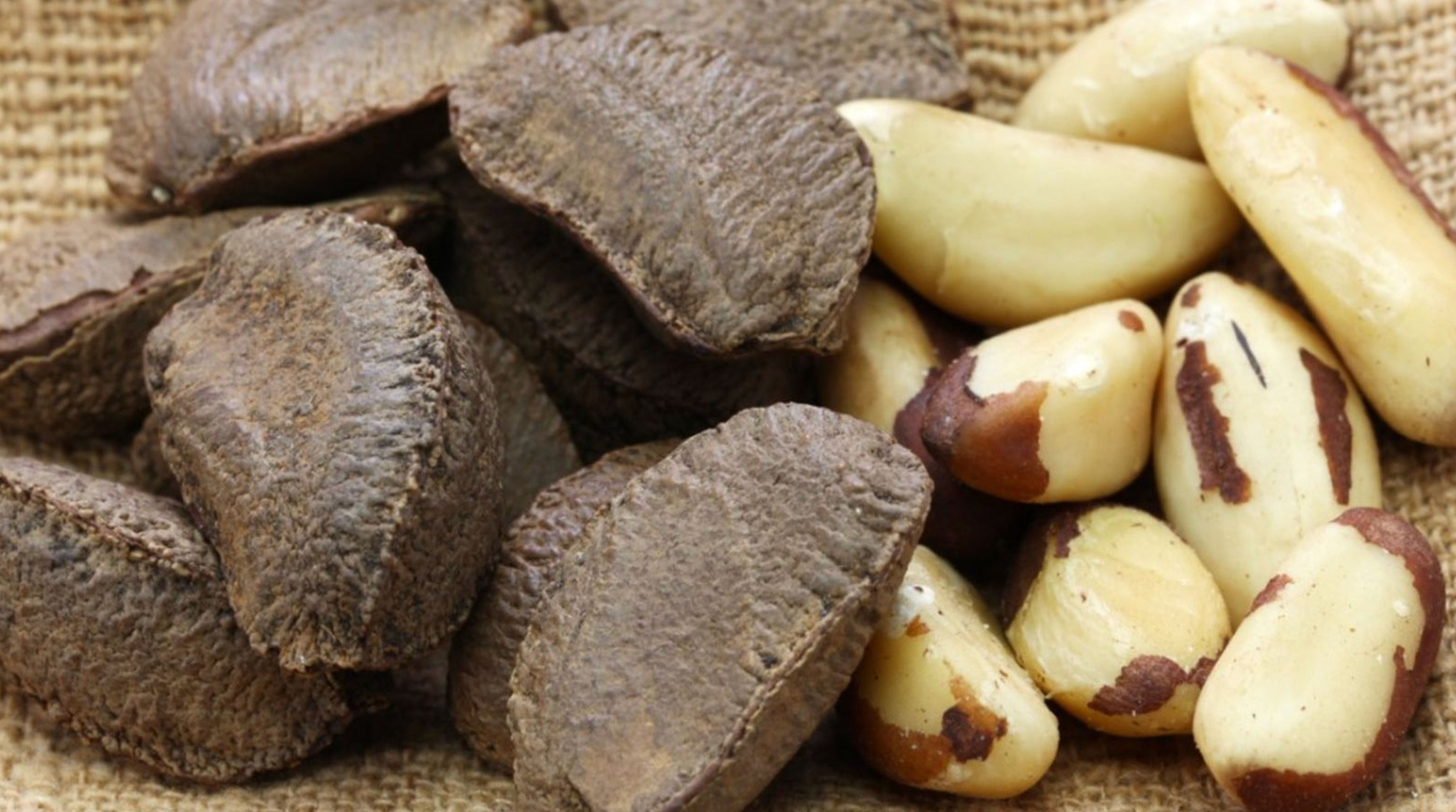 health benefits of brazil nuts_9181d25e d5ce 41cd a095 d90f88d63f74