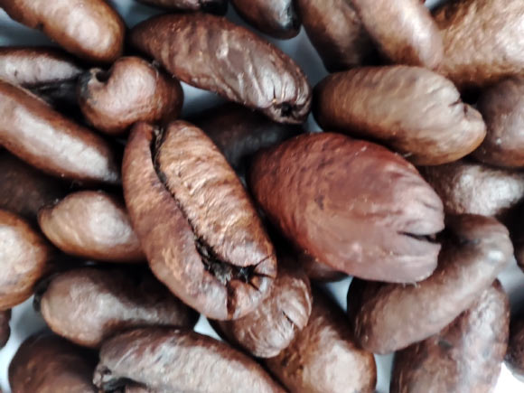 Your Morning Coffee Is Reshaping Your Gut Microbiome and Boosting Mood, New Study Finds